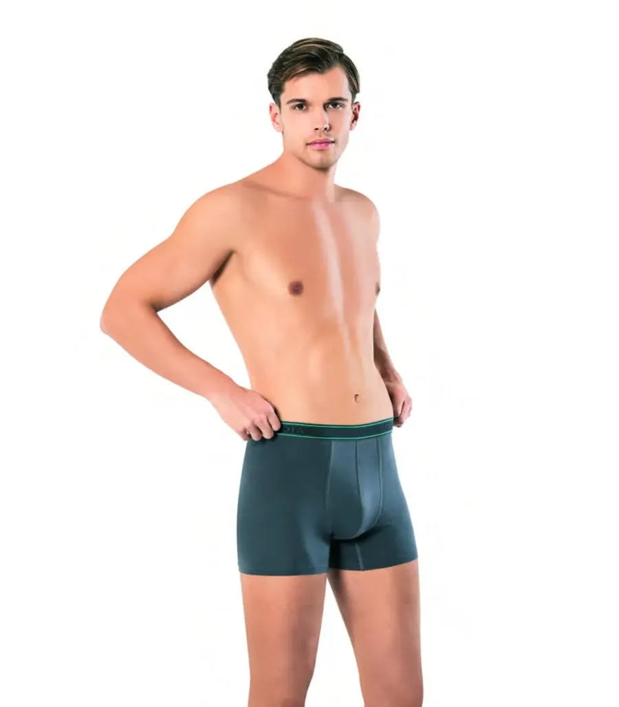 Kota 1010 Modal Erkek Boxer
