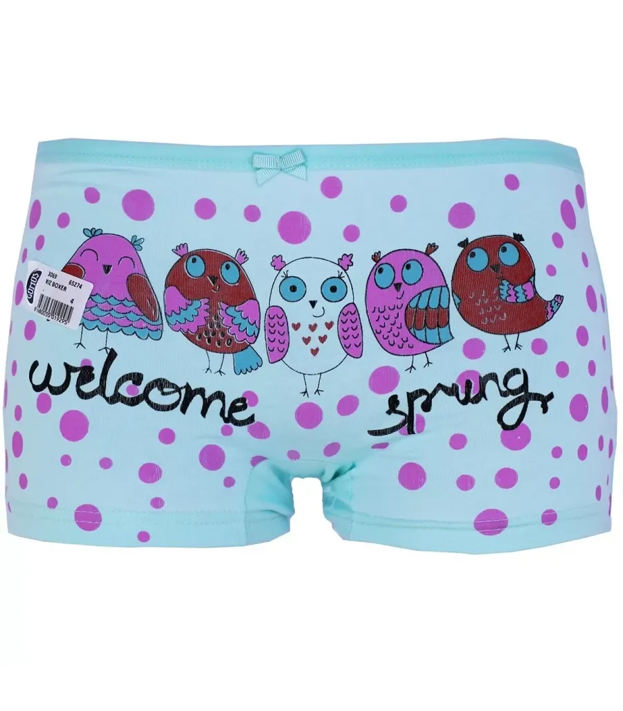 Toptan Gümüş Kız Baskılı Likralı Boxer